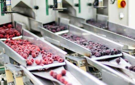 Costing of food processing & packaging materials